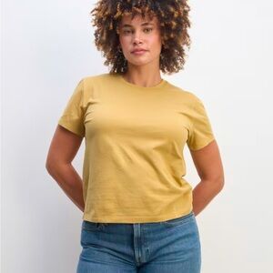 EVERLANE Box Cut Golden Oak Organic Cotton Tee